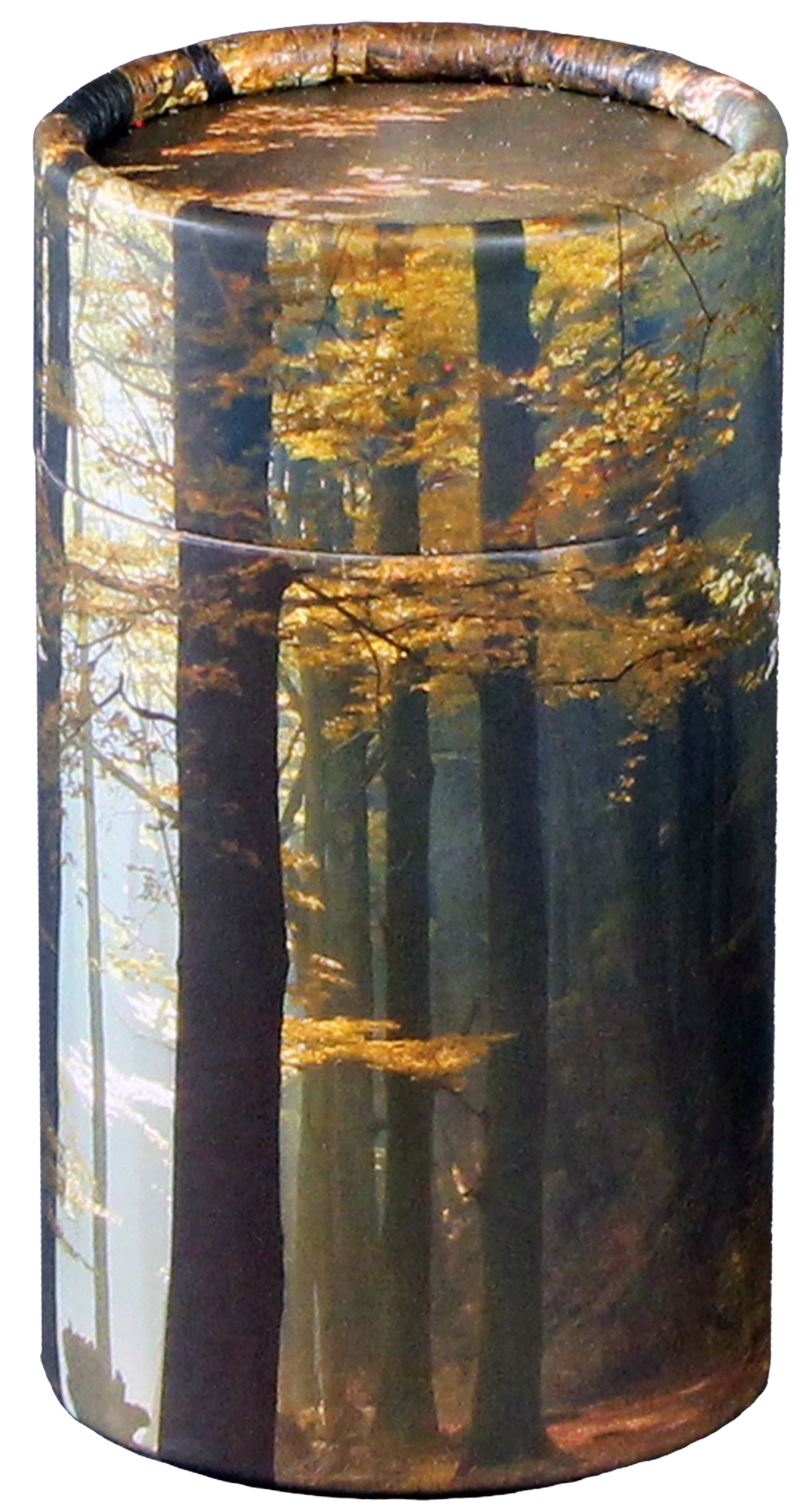 Autumn Woods Mini Scattering Tube
